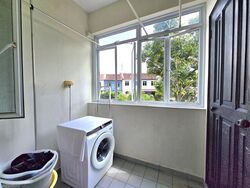 Flora Road (D17), Terrace #567962101